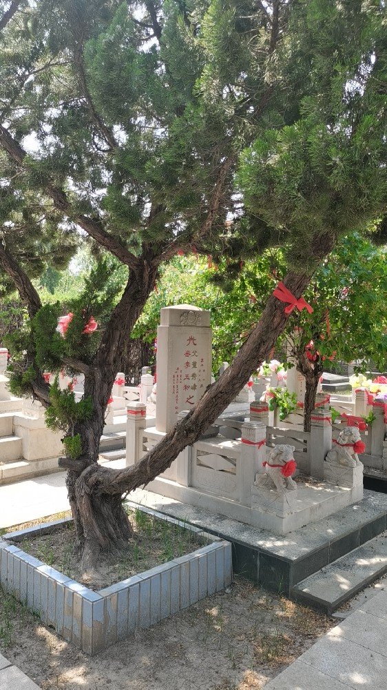 永安陵公墓-永安陵人文纪念园为什么社会评价那么高
