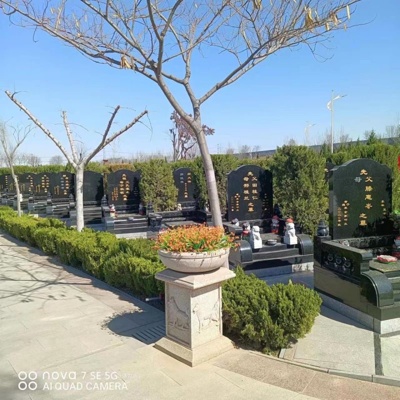 永安陵公墓-永安陵人文纪念园园区的自然生态